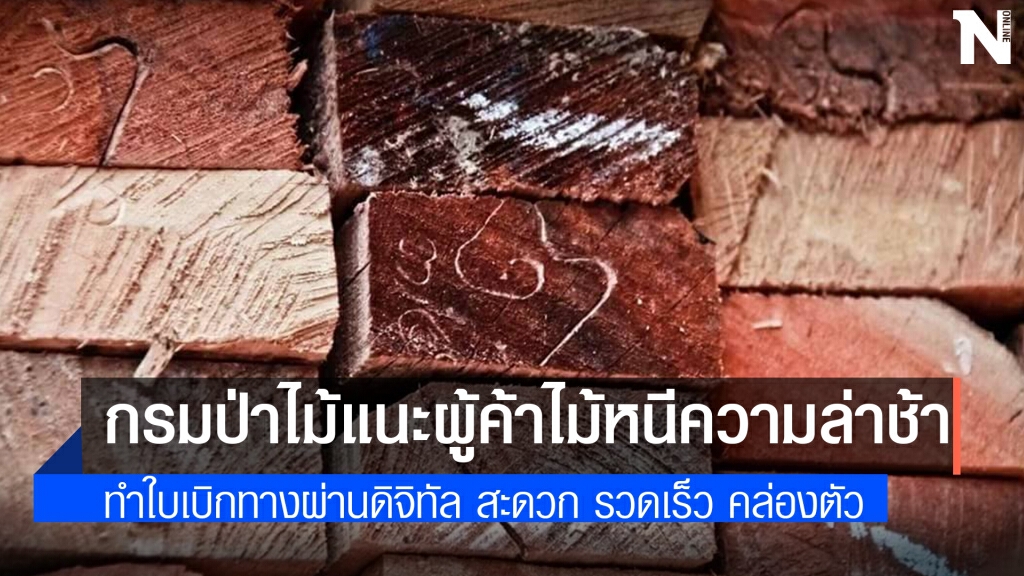 กรมป่าไม้ แนะผู้ค้าไม้ ออกใบเบิกทางนำไม้ผ่านระบบดิจิทัล