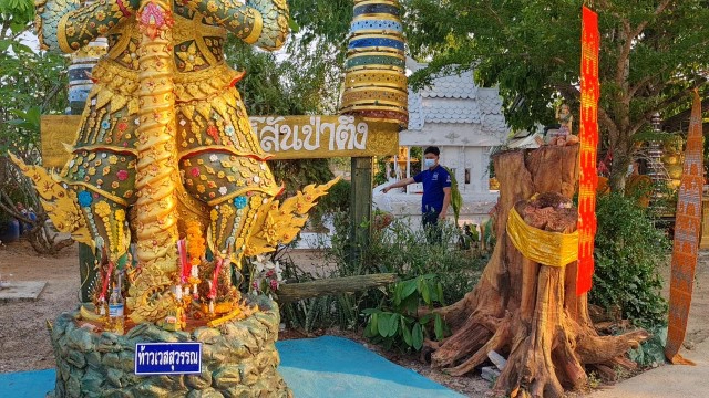 ภาพปริศนา!คล้ายคนนุ่งโจงกระเบน-ไม่เห็นหัว