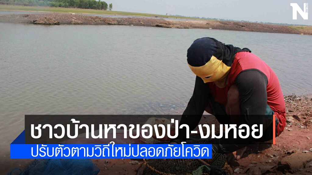 ชาวบ้านพลิกวิกฤตโควิดระบาด ไม่ประมาทหาอาหารป่า-งมหอยขาย ชาวบ้านพลิกวิกฤตโควิดระบาด ไม่ประมาทหาอาหารป่า-งมหอยขาย