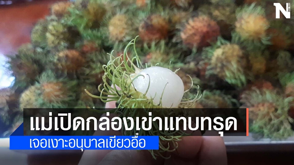สาวแค้นซื้อเงาะโรงเรียนได้เงาะอ่อน