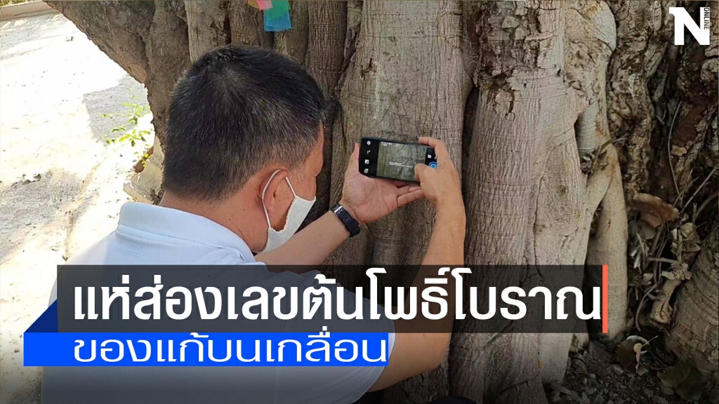 นักเสี่ยงโชคแห่ส่องเลขต้นโพธิ์โบราณ นักเสี่ยงโชคแห่ส่องเลขต้นโพธิ์โบราณ