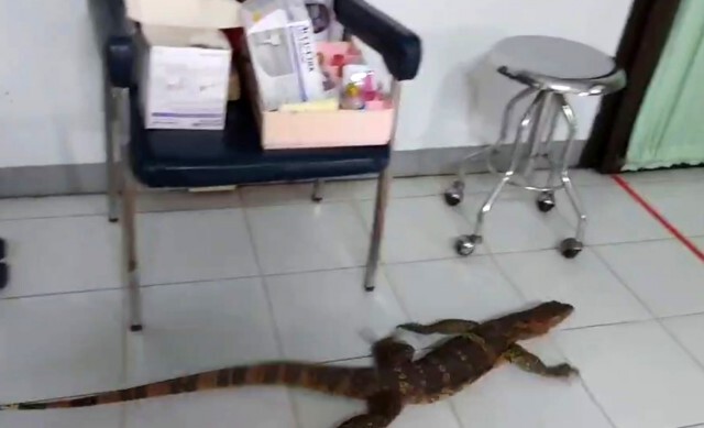 แตกตื่น!คนไข้พิเศษมานอนรอหมอห้องฉุกเฉินแต่เช้า