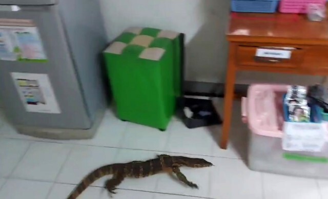 แตกตื่น!คนไข้พิเศษมานอนรอหมอห้องฉุกเฉินแต่เช้า