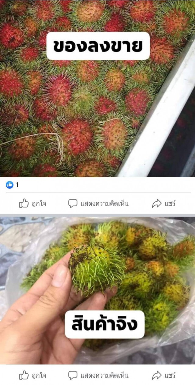 สาวแค้นซื้อเงาะโรงเรียนได้เงาะอ่อน