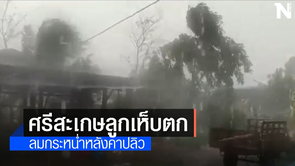 พายุลูกเห็บตก 4 อำเภอ ต้นไม้หักโค่นหลังคาปลิวว่อน