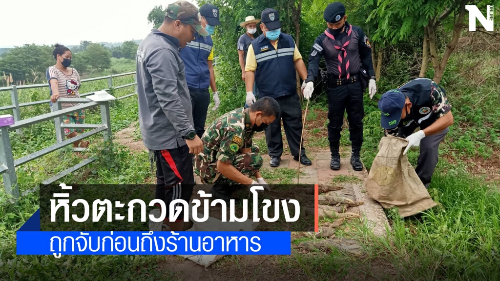 ทหารพรานจับสาวใหญ่ลักลอบขนสัตว์ป่าคุ้มครองข้ามแดน ทหารพรานจับสาวใหญ่ลักลอบขนสัตว์ป่าคุ้มครองข้ามแดน