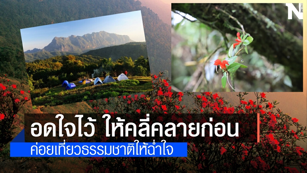 ปิดเกือบหมด เขตรักษาพันธุ์สัตว์ป่าภูหลวงประกาศงดเที่ยวชั่วคราว ปิดเกือบหมด เขตรักษาพันธุ์สัตว์ป่าภูหลวงประกาศงดเที่ยวชั่วคราว