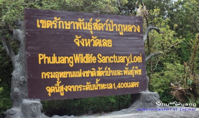 ปิดเกือบหมด เขตรักษาพันธุ์สัตว์ป่าภูหลวงประกาศงดเที่ยวชั่วคราว