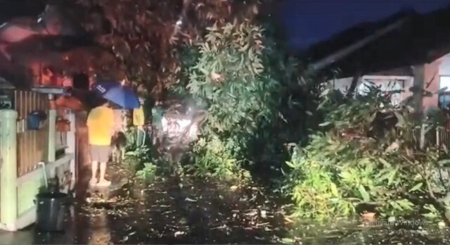 พายุลูกเห็บตก 4 อำเภอ ต้นไม้หักโค่นหลังคาปลิวว่อน