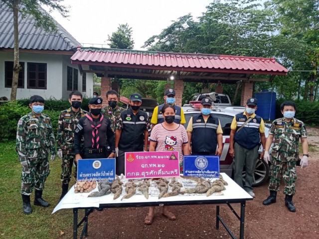 ทหารพรานจับสาวใหญ่ลักลอบขนสัตว์ป่าคุ้มครองข้ามแดน