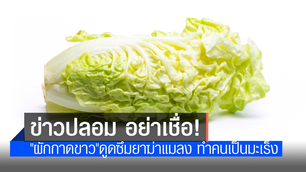 แจ้งเตือนข่าวบิดเบือน "ผักกาดขาวมักดูดซึมยาฆ่าแมลง เป็นเหตุทำให้คนไทยเป็นมะเร็งมากที่สุดในเอเชีย" แจ้งเตือนข่าวบิดเบือน "ผักกาดขาวมักดูดซึมยาฆ่าแมลง เป็นเหตุทำให้คนไทยเป็นมะเร็งมากที่สุดในเอเชีย"