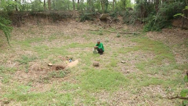 ปลูกผักอีไร-ส่งขายออนไลน์รายได้งาม