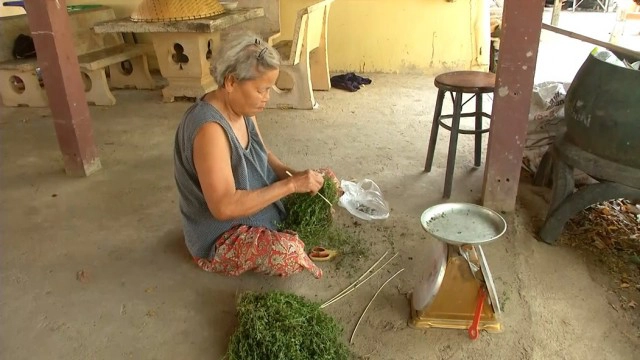 ปลูกผักอีไร-ส่งขายออนไลน์รายได้งาม