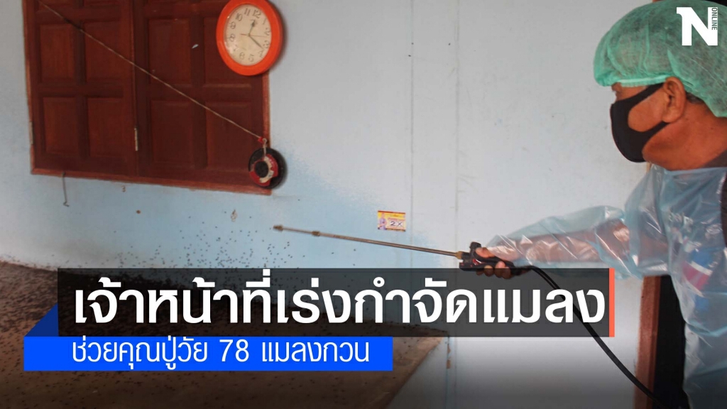 เร่งกำจัดแมลงปีกแข็งหลายแสนบุกบ้านที่โคราช เร่งกำจัดแมลงปีกแข็งหลายแสนบุกบ้านที่โคราช