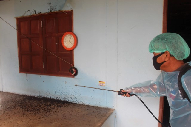 เร่งกำจัดแมลงปีกแข็งหลายแสนบุกบ้านที่โคราช