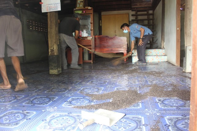 เร่งกำจัดแมลงปีกแข็งหลายแสนบุกบ้านที่โคราช