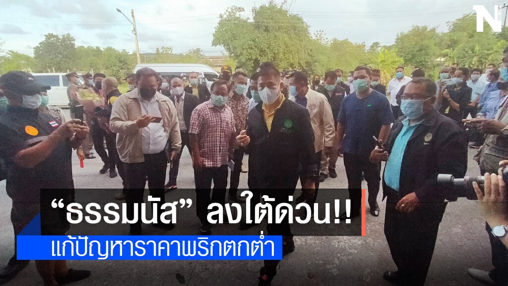 "ธรรมนัส" บินด่วนสงขลาแก้ปัญหาราคาพริกตกต่ำ