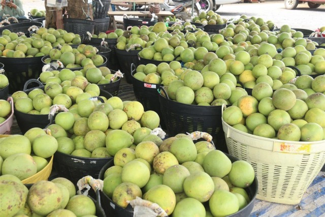 พิษโควิด"ส้มโอ"ล้นตลาด-ทิ้งกว่า2พันกก.