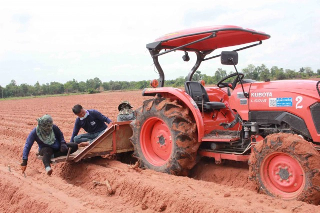 ไอเดียเก๋แต่งรถไถไร้คนขับกางร่มปลูกมันสีสันวันแรงงาน