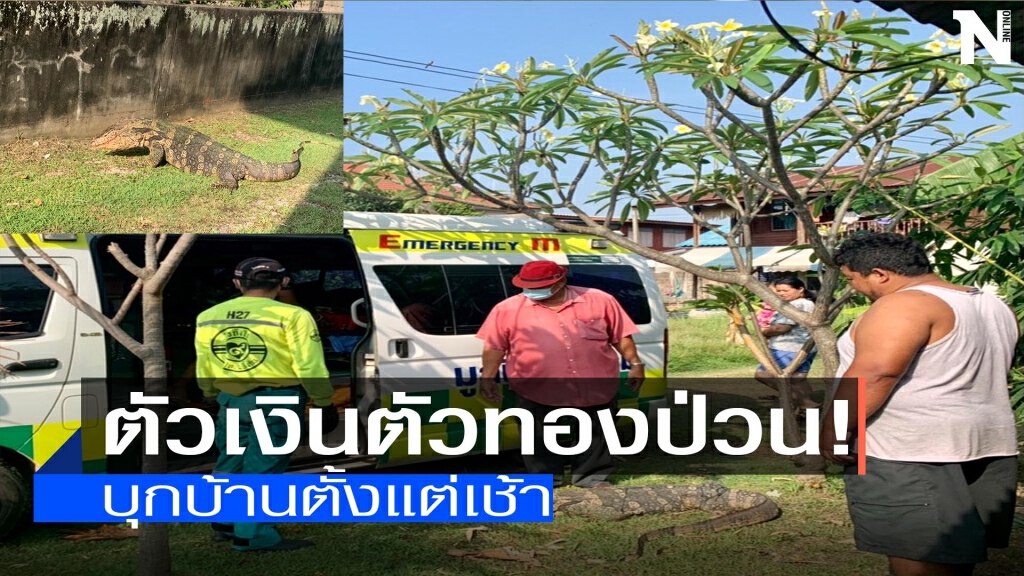 จับตัวเงินตัวทอง-บุกบ้านตั้งแต่เช้า