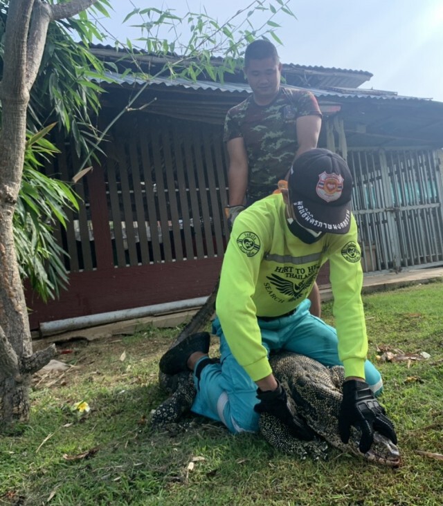 จับตัวเงินตัวทอง-บุกบ้านตั้งแต่เช้า