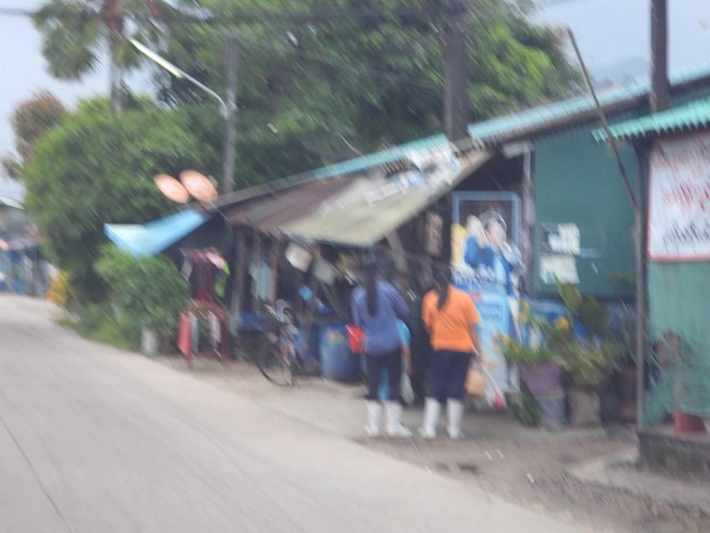 สั่งปิดแพปลาระนอง 7 วัน ซื้อขายทางออนไลน์แทน