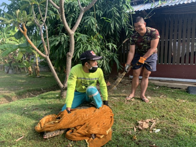 จับตัวเงินตัวทอง-บุกบ้านตั้งแต่เช้า