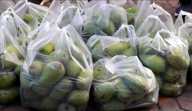 ราคามะม่วงตก-แจกฟรี500 กก.