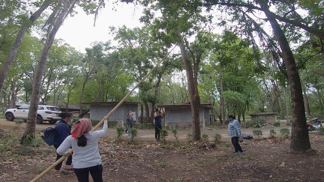 ตะลึง !! แมงแคงเมนูจากฟ้า ราคา กก. 2 พัน