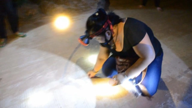 หนึ่งปีมีครั้งเดียว ออกส่องไฟจับแมงกอกคึกคักขายได้ราคาดี