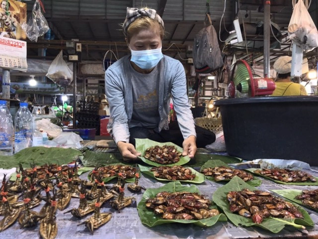 ตะลึง !! แมงแคงเมนูจากฟ้า ราคา กก. 2 พัน