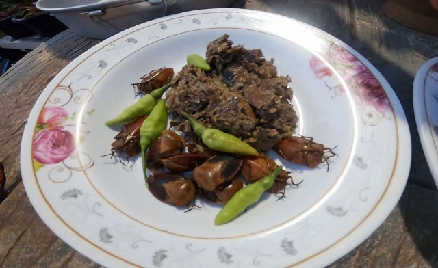 ตะลึง !! แมงแคงเมนูจากฟ้า ราคา กก. 2 พัน