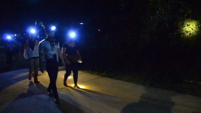 หนึ่งปีมีครั้งเดียว ออกส่องไฟจับแมงกอกคึกคักขายได้ราคาดี