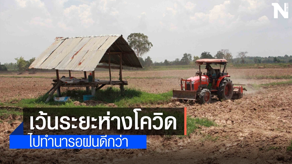 ชาวนากาฬสินธุ์หนีโควิดออกไปทุ่ง ทำนาแล้งหว่านข้าวรอฝน