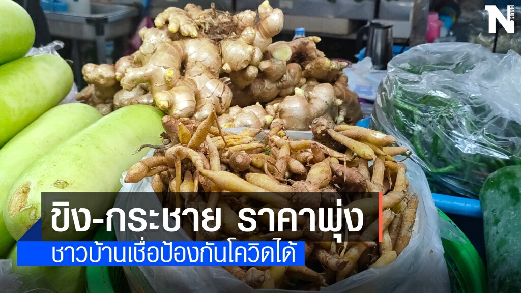 ขิง-กระชาย ราคาไม่พุ่งขึ้นนำไปต้มกินป้องกันโควิด