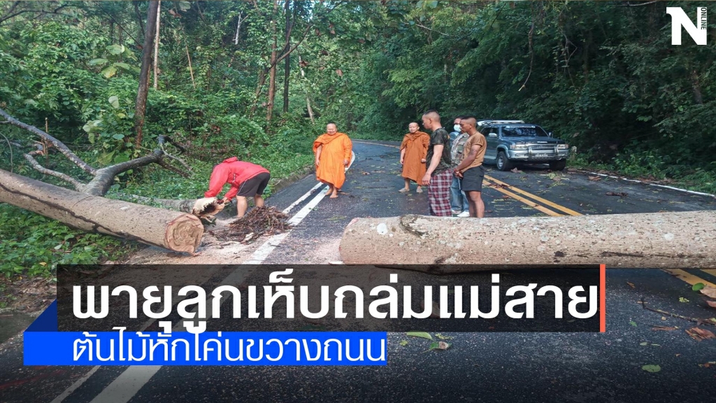 พายุลูกเห็บถล่มแม่สาย-ต้นไม้หักโค่นขวางถนน พายุลูกเห็บถล่มแม่สาย-ต้นไม้หักโค่นขวางถนน