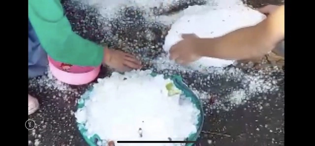 พายุลูกเห็บถล่มแม่สาย-ต้นไม้หักโค่นขวางถนน