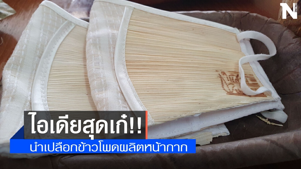 ไอเดียสุดเก๋!!ผลิตหน้ากากอนามัยจากเปลือกข้าวโพด ไอเดียสุดเก๋!!ผลิตหน้ากากอนามัยจากเปลือกข้าวโพด