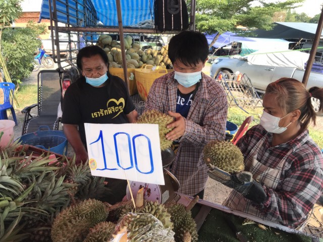 วงดนตรีสู้พิษโควิด-ขายผลไม้สร้างรายได้