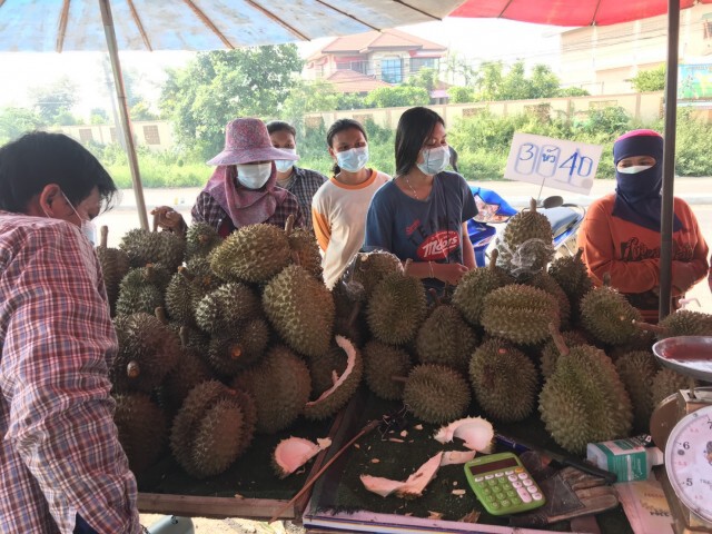 วงดนตรีสู้พิษโควิด-ขายผลไม้สร้างรายได้