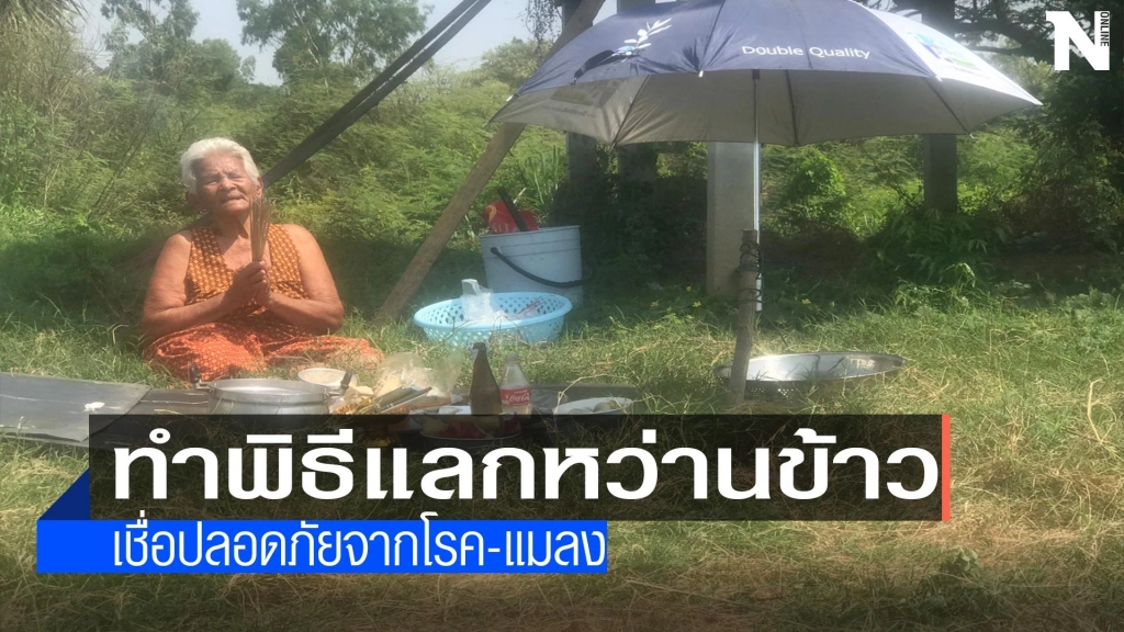 ชาวนาแลกหว่านข้าวตามพิธีโบราณ ชาวนาแลกหว่านข้าวตามพิธีโบราณ