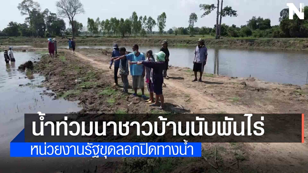 เกษตรกรโวยรัฐขุดลอกลำห้วยปิดทางระบายทำน้ำท่วมนาข้าวพันไร่ เกษตรกรโวยรัฐขุดลอกลำห้วยปิดทางระบายทำน้ำท่วมนาข้าวพันไร่