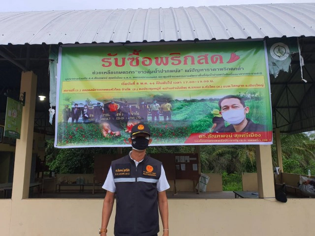 "สัณหพจน์" คิกออฟ รับซื้อ "พริกเขียว" เกษตรกรลุ่มน้ำปากพนัง