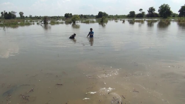 เกษตรกรโวยรัฐขุดลอกลำห้วยปิดทางระบายทำน้ำท่วมนาข้าวพันไร่
