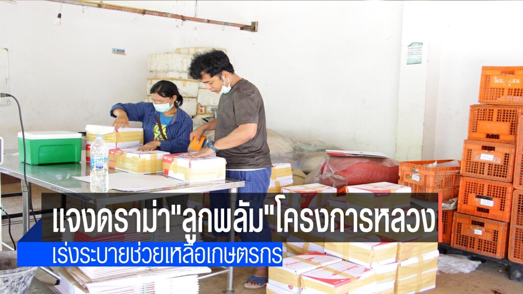 แจงปมดราม่า"ลูกพลัม"โครงการหลวง