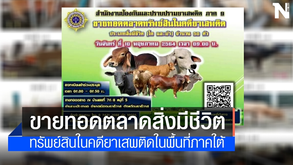 ป.ป.ส.จัดประมูล "โคและม้า" ของกลางคดียาเสพติด 50 ตัว ป.ป.ส.จัดประมูล "โคและม้า" ของกลางคดียาเสพติด 50 ตัว