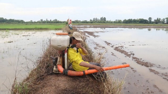 ชาวนาพิจิตรถือฤกษ์วันพืชมงคล-เพาะปลูกข้าว