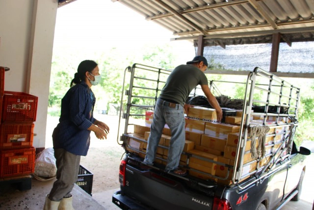 แจงปมดราม่า"ลูกพลัม"โครงการหลวง