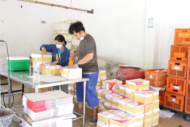 แจงปมดราม่า"ลูกพลัม"โครงการหลวง