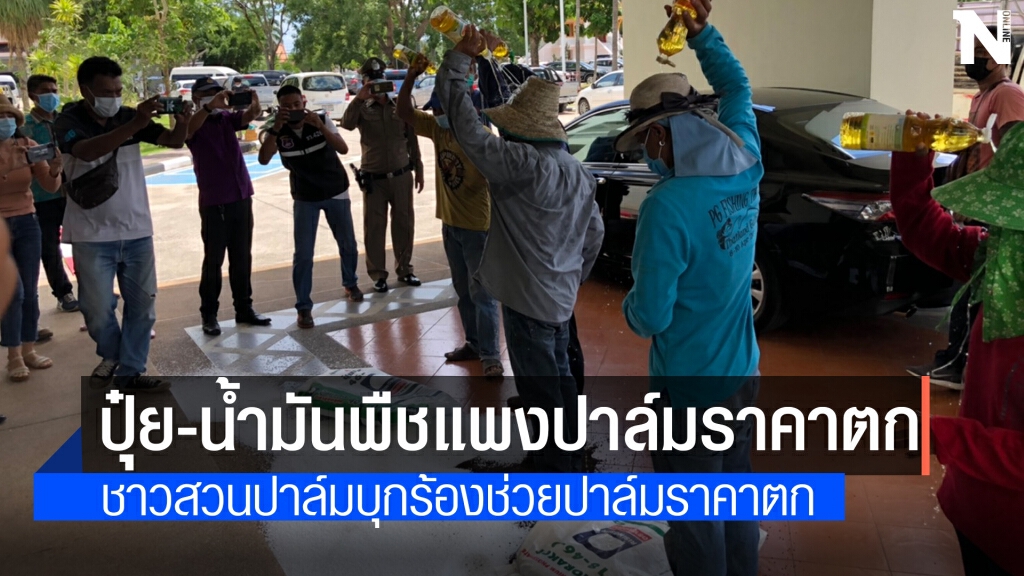 ชาวสวนปาล์มร้องแก้ปัญหาราคาปุ๋ยแพง